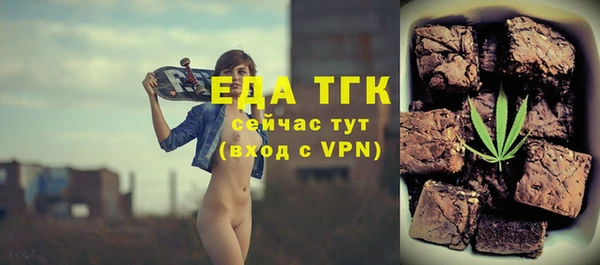 хмурый Пересвет