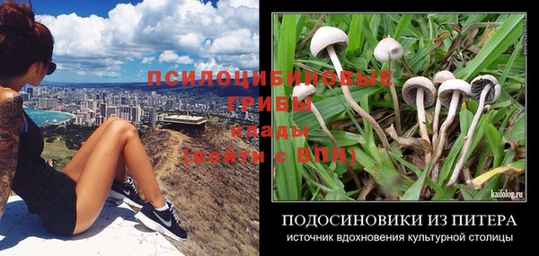 гашиш Белокуриха