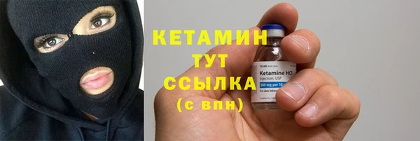 хмурый Пересвет