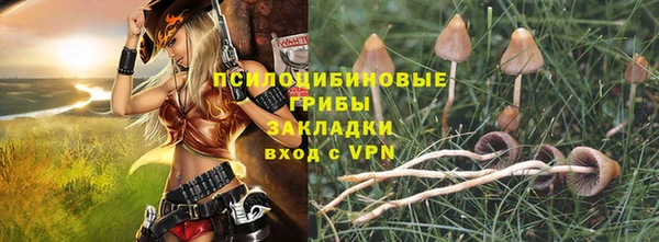 ECSTASY Пестово