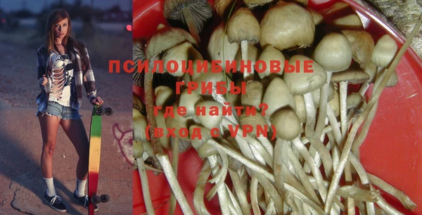 ECSTASY Пестово