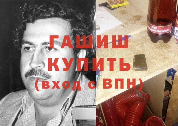 хмурый Пересвет