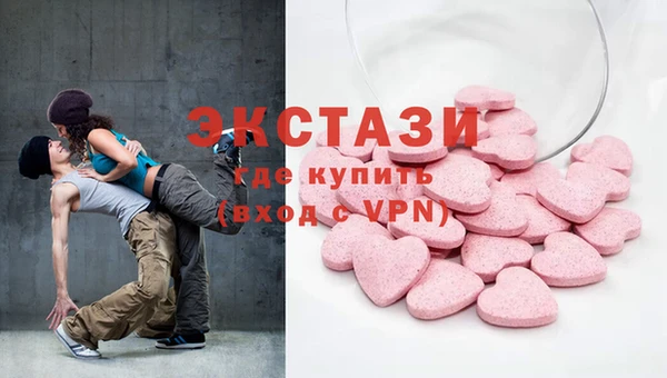 хмурый Пересвет